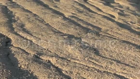 干燥泥泞的沙丘沙漠的景观视频的预览图