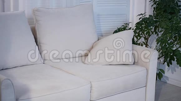 漂亮的年轻女子躺在沙发上躺在家里的毯子下视频的预览图