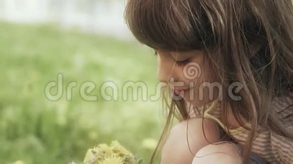 小女孩在草地上收集一束蒲公英视频的预览图