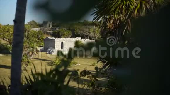 尤卡坦热带海岸视频的预览图