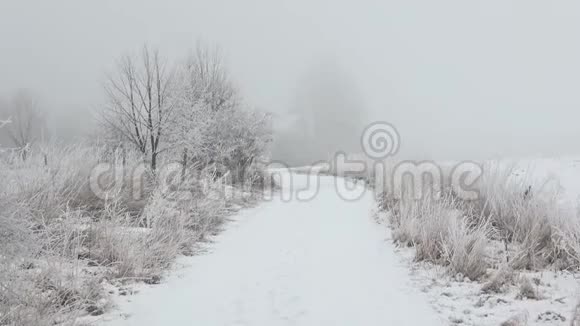 美丽的冬季景观冬季风景视频的预览图