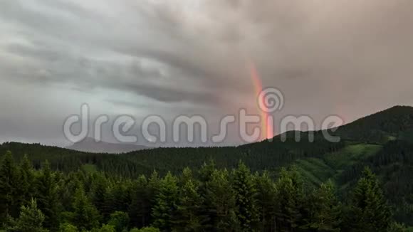 彩虹在森林的时间流逝雨后的天空全高清1920x1080视频的预览图