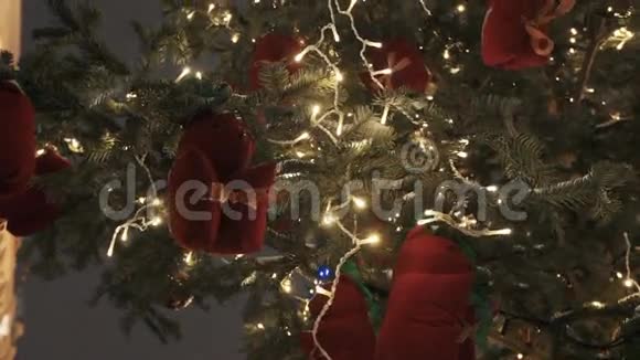 户外圣诞树上的红松鼠玩具和白光花环视频的预览图