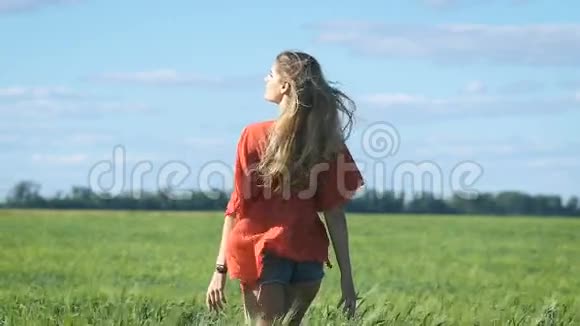 一个美丽的金发年轻浪漫的女人穿着红色衬衫在绿色的田野上慢慢行走的肖像从后面看视频的预览图