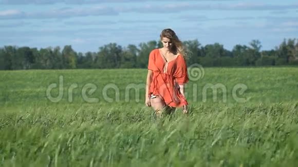 一个美丽的金发年轻浪漫女子穿着红色衬衫慢慢地在草地上抚摸着她的完整的肖像视频的预览图