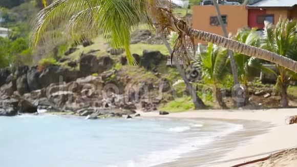 在加勒比海的安提瓜岛热带的卡莱尔湾海滩有白色的沙子绿松石的海洋和蓝天视频的预览图