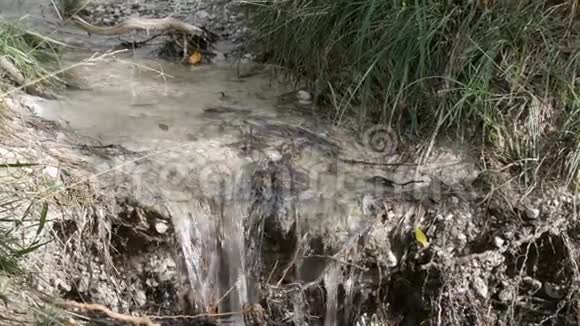 森林中河流的特写流水的细节视频的预览图