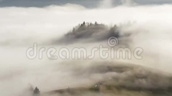 秋天神秘多雾的早晨乡村道路和树木的时间流逝视频的预览图
