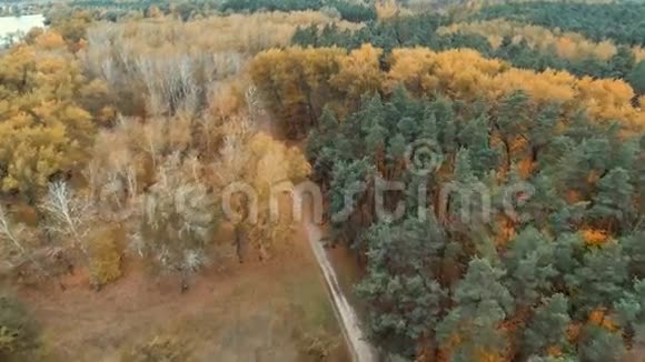 无人机在北欧森林上空射击视频的预览图