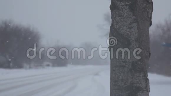 大雪在树的背景下缓慢移动视频的预览图