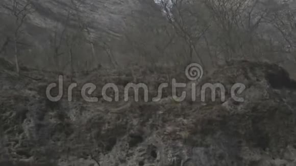 在雾蒙蒙的天气里我们在深谷里驾车检查岩石视频的预览图