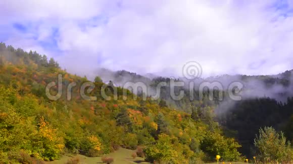 秋林上空的云动视频的预览图