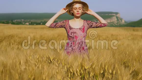 小麦收割黑麦领域的时尚女农民视频的预览图