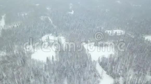 雪覆盖针叶林的俯视图剪辑冬季白雪覆盖森林的俯视图视频的预览图