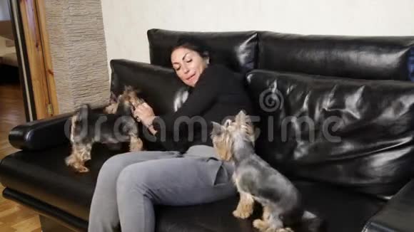 女人和两只宠物狗视频的预览图