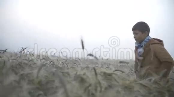 黎明时分男孩在金色的田野上奔跑露水雨天慢动作视频的预览图