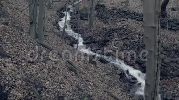 神秘的小溪小雾流过如画的山谷视频的预览图