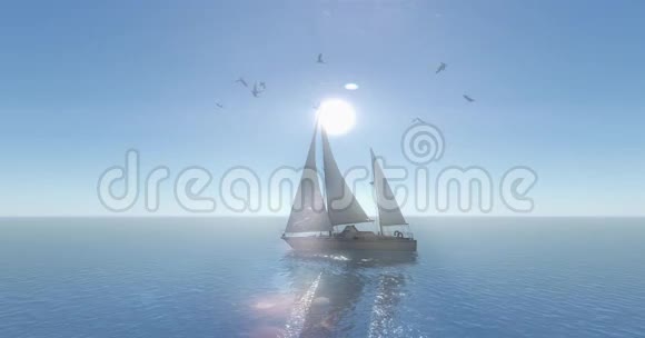 帆船在海上航行阳光和飞翔的海鸥广阔的海洋表面视频的预览图