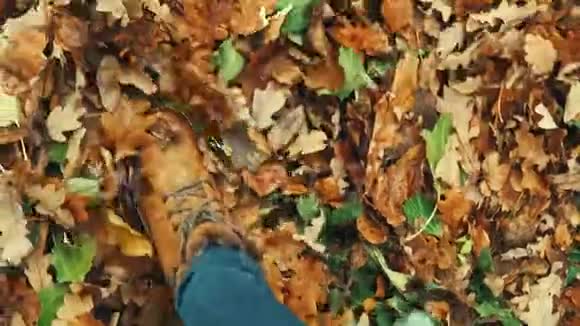 人类穿着棕色的皮靴走在落叶的橡树叶里视频的预览图