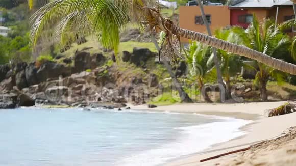 在加勒比海的安提瓜岛热带的卡莱尔湾海滩有白色的沙子绿松石的海洋和蓝天视频的预览图