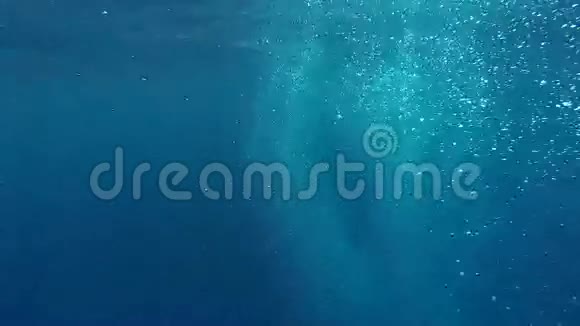 在海洋中发光的气泡视频的预览图