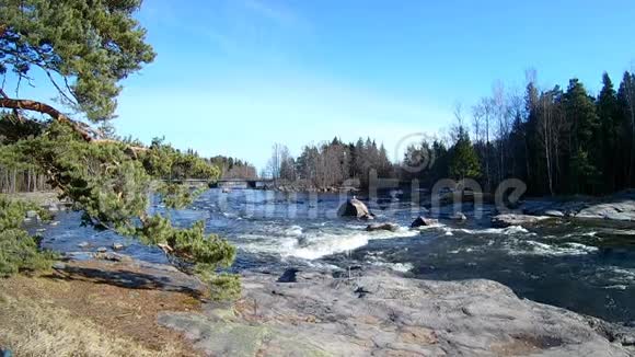 芬兰基米的自然景观沿海森林的快速河流水运动视频的预览图