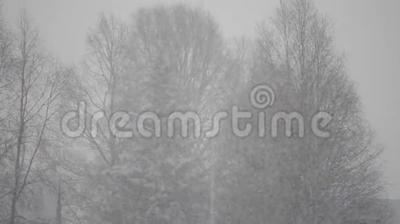 挪威北部森林和田野的大雪视频的预览图