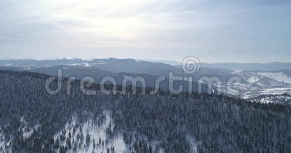 鸟瞰景观冬季自然飞越冬季森林视频的预览图