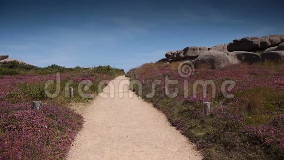 普卢马纳赫花岗岩海岸线布雷塔涅法国视频的预览图
