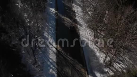 阳光明媚的一天一辆不知名的越野车在针叶林中沿着沥青路行驶视频的预览图