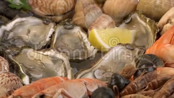 提供新鲜海鲜拼盘提供龙虾贻贝和牡蛎视频的预览图