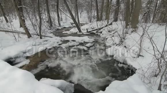 小溪在冬天的雪林中的雪岸视频的预览图