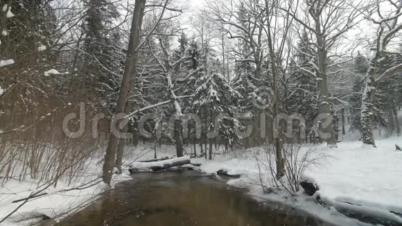 小溪在冬天的雪林中的雪岸视频的预览图