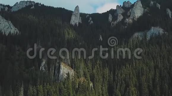 美丽的森林和山脉空中观景台飞越美丽的山林空中摄影机拍摄视频的预览图