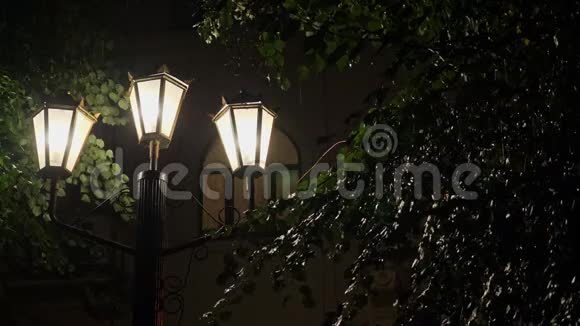 雨中路灯的光视频的预览图