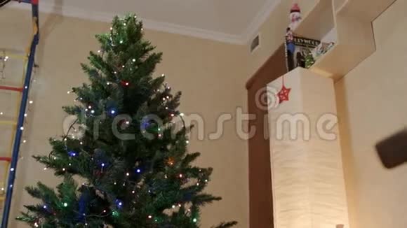 客厅中央有灯座的新年树视频的预览图