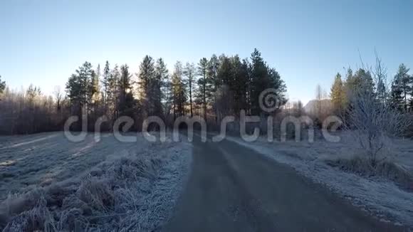 在深秋清晨的阳光下漫步在冰冷的森林土路上周围环绕着茂密的松树视频的预览图