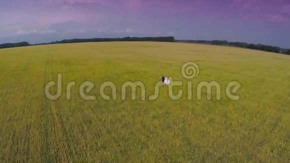 新郎新娘穿过绿色麦田的鸟瞰图顶部视图视频的预览图