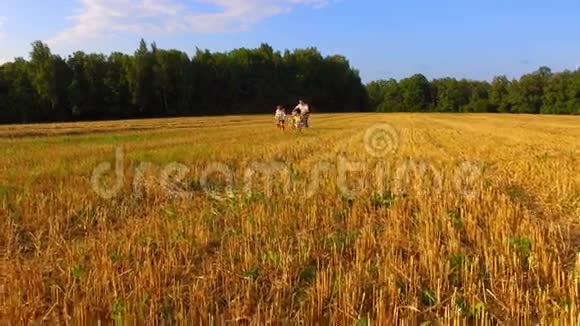 父亲带着快乐的孩子在倾斜的麦田里奔跑视频的预览图