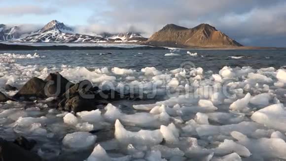 冰浮在北极峡湾视频的预览图