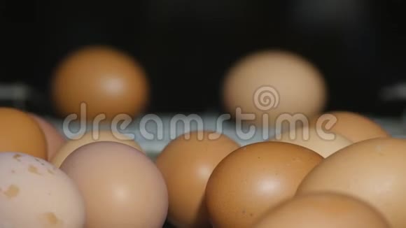 新鲜和生鸡蛋在传送带上被移到包装屋消费主义鸡蛋生产自动化视频的预览图