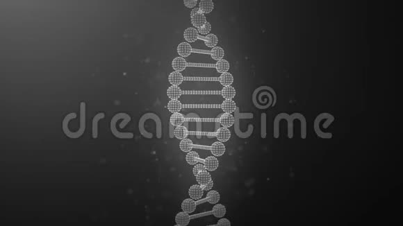 无限飞近DNA链视频的预览图