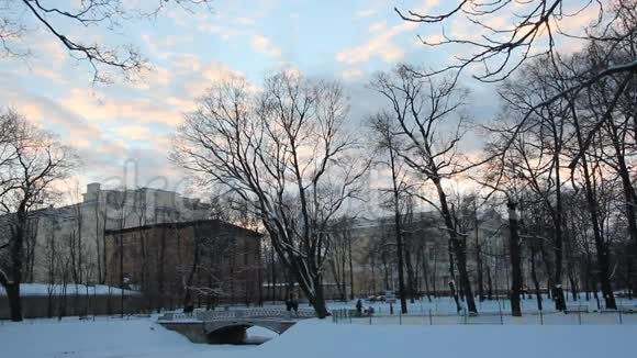 圣彼得堡米哈伊洛夫斯基花园冬夜视频的预览图