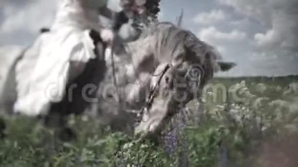 马在大自然的背景上嚼草吃草的马头特写视频的预览图