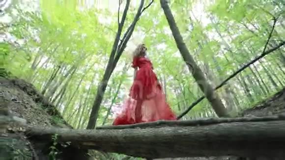 女人在神秘的森林里行走视频的预览图