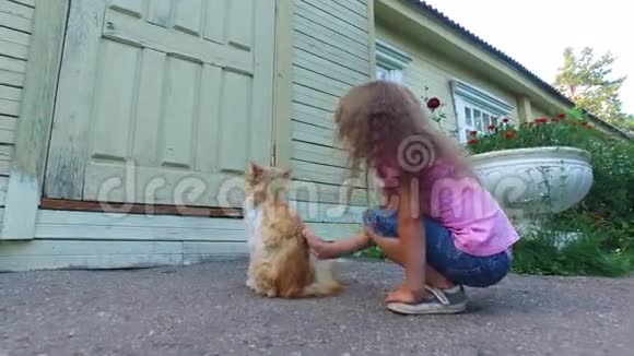 戴眼镜的女孩抚摸着那只老红猫小女孩微笑着漂亮的猫咕噜着视频的预览图