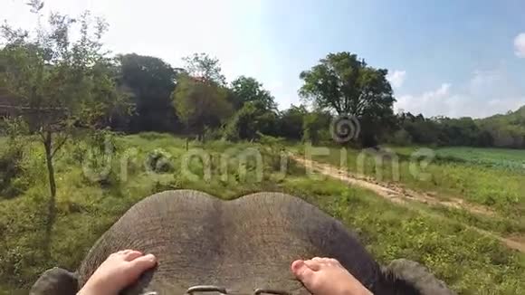 空中观象骑与小女孩的腿休息象皮s头视频的预览图