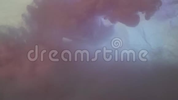 深粉色烟缕滴在白色背景下白色背景上溅出粉红色的烟雾紫色紫色视频的预览图