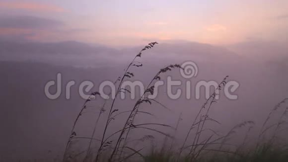 埃拉小亚当峰上雾蒙蒙的日出景色艾拉是一个美丽的小困镇位于斯里兰卡南部边缘视频的预览图