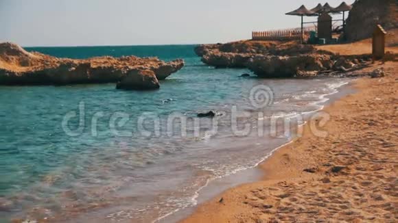 埃及红海的沙沙滩和海岸线上缓慢运动的海浪视频的预览图